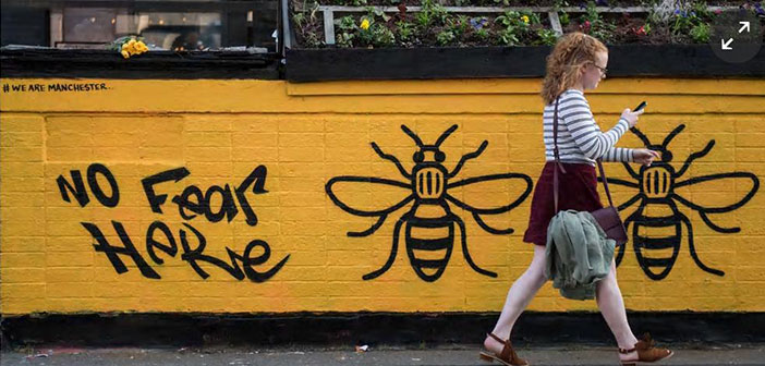Manchester Bees Still Buzz Framed Prints By Joekeo Redbubble